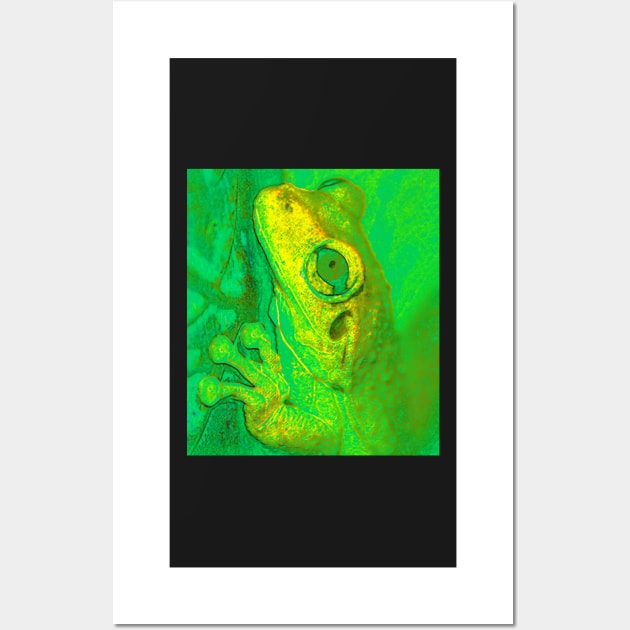 Rainforest Green Frog Wall Art by dltphoto